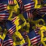 US-and-Gadsden-Flags-24.jpg
