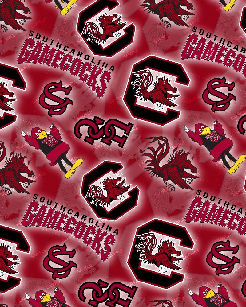 USC GameCocks 22