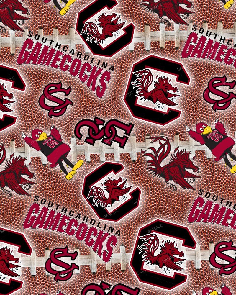 USC GameCocks 24