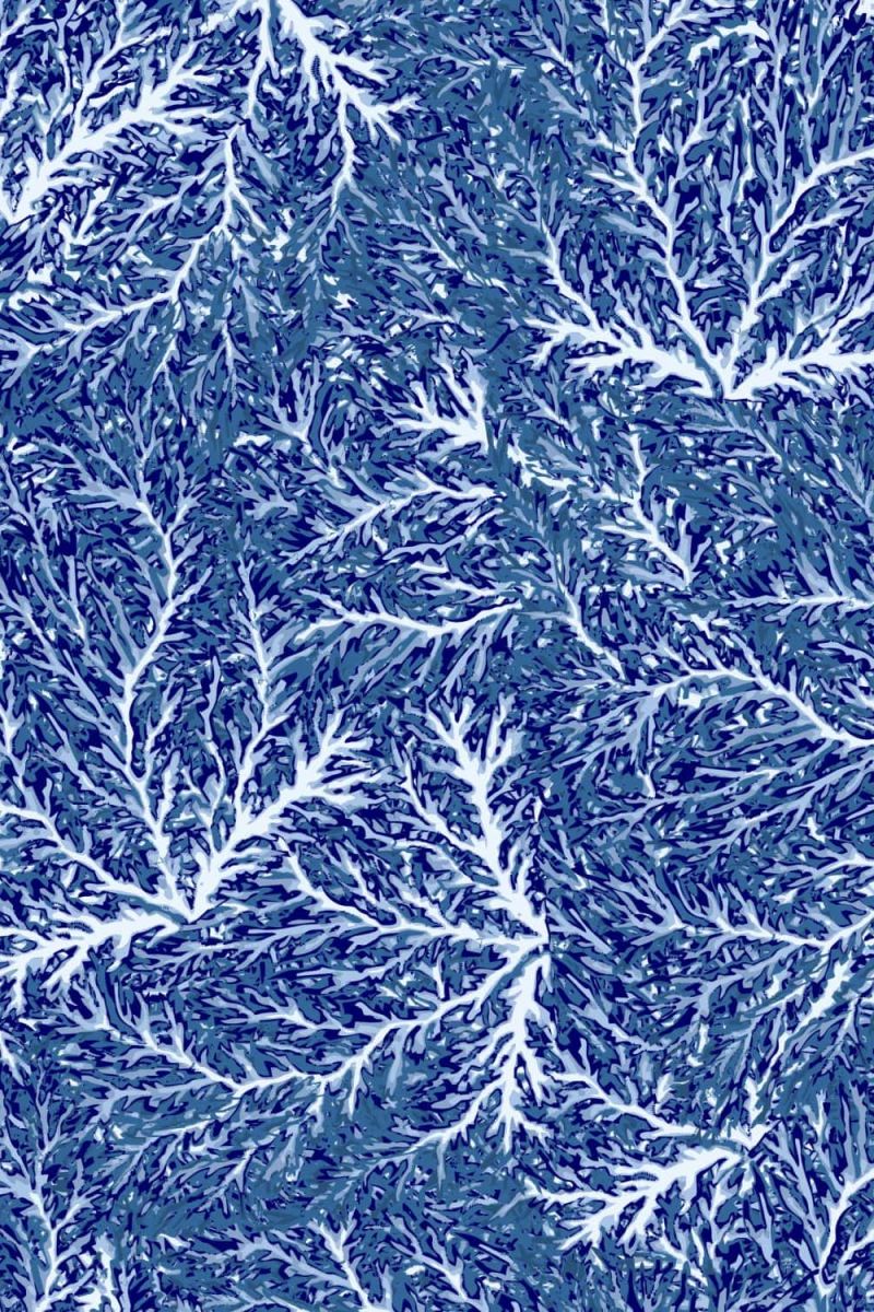 Underwater 42 Camouflage