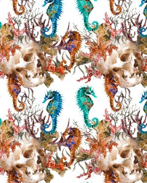 Underwater Skulls and Seahorses