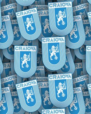 Universitatea Craiova