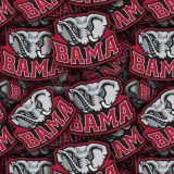 University-of-Alabama-BAMA.jpg