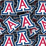 University-of-Arizona-22.jpg
