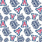 University-of-Arizona-23.jpg