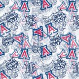 University-of-Arizona-25.jpg