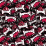 University-of-Arkansas-Razorbacks.jpg