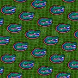 University-of-Florida-Gators-24.jpg