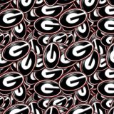 University-of-Georgia-22.jpg