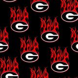 University-of-Georgia-on-Fire-Black.jpg