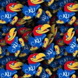 University-of-Kansas-Jayhawks.jpg