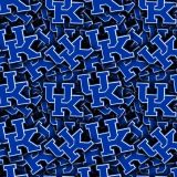 University-of-Kentucky-22.jpg