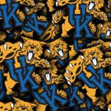 University-of-Kentucky-23-thumb.jpg