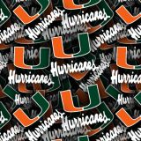 University-of-Miami-Hurricanes-23.jpg