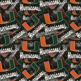 University-of-Miami-Hurricanes-3D.jpg