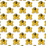 University-of-Michigan-Wolverines-22.jpg