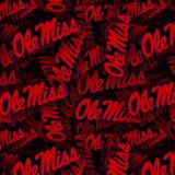 University-of-Mississippi-Ole-Miss-22.jpg