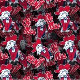 University-of-Mississippi-Ole-Miss-23.jpg