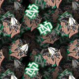 University-of-North-Dakota.jpg