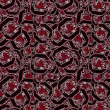 University-of-South-Carolina-Gamecocks-22.jpg