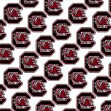 University-of-South-Carolina-Gamecocks-23.jpg