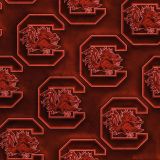 University-of-South-Carolina-Gamecocks-Embossed-23.jpg