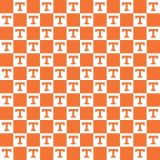 University-of-Tennessee-22.jpg