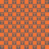University-of-Tennessee-23.jpg
