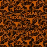 University-of-Texas-Longhorns-23.jpg