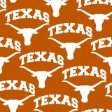 University-of-Texas-Longhorns-24.jpg