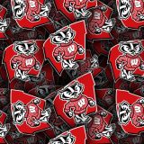 University-of-WisconsinE28093Madison-Badgers.jpg