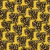 University-of-Wyoming-Cowboys-23.jpg
