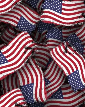 US Grunge Flag 23