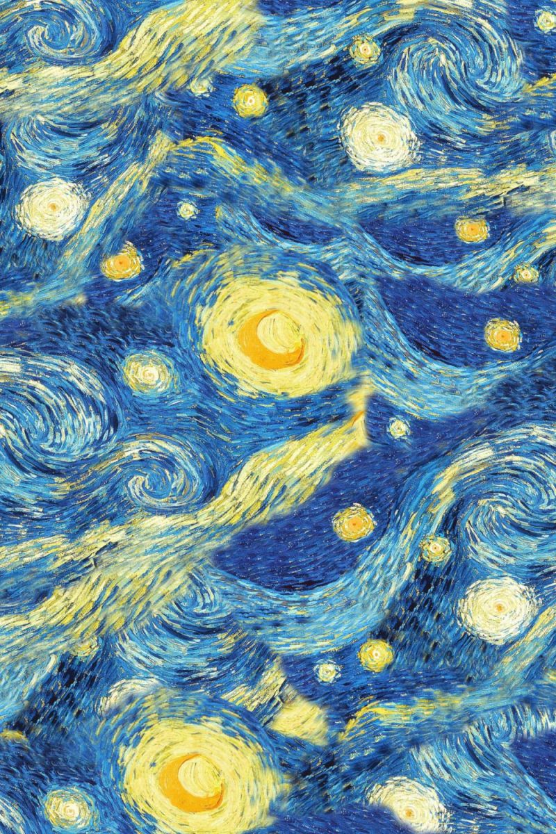 Van Gogh Starry Night 23