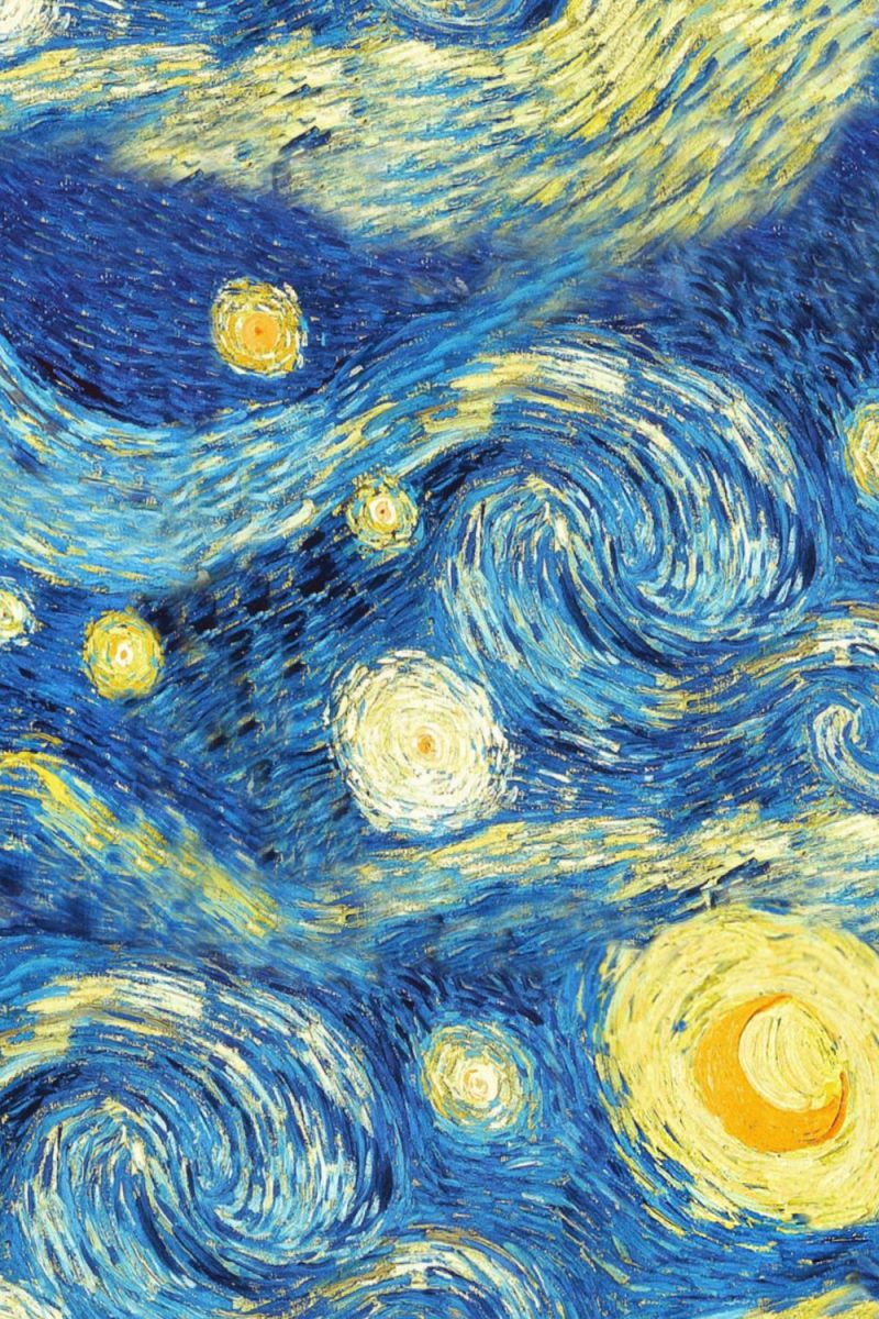 Van Gogh Starry Night 24