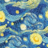 Van-Gogh-Starry-Night-24.jpg