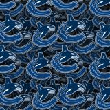 Vancouver-Canucks-22.jpg