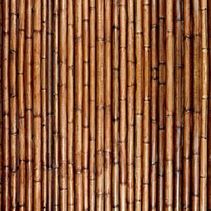 Varnished Bamboo