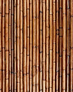 Varnished Bamboo