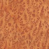 Vavone-Burl.jpg