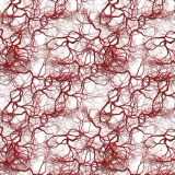 Vein-Map-23.jpg