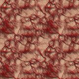Vein-Map-26.jpg