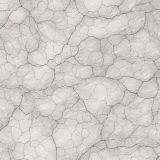 Veining-22.jpg