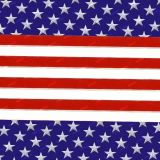 Vertically-Oriented-Embroidered-US-Flag.jpg