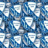 VfL-Bochum.jpg