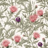 Victorian-Illustration-of-Russian-Thistle.jpg