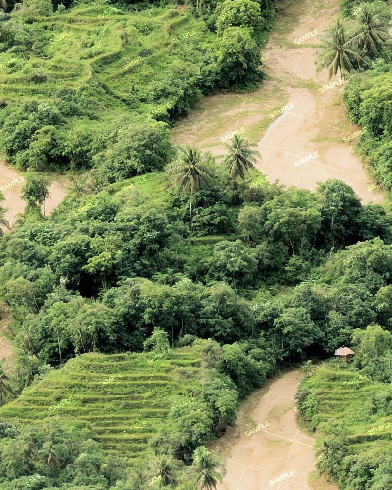 VietNam Terrace Farming