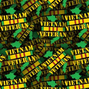 VietNam Veteran 22