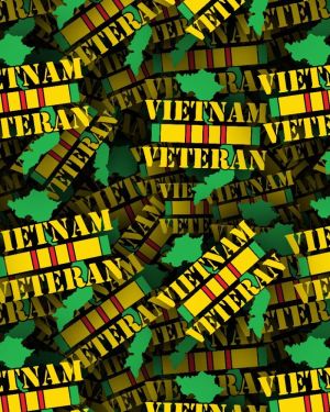 VietNam Veteran 22