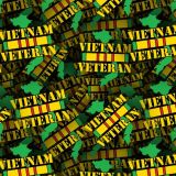 VietNam-Veteran-22.jpg